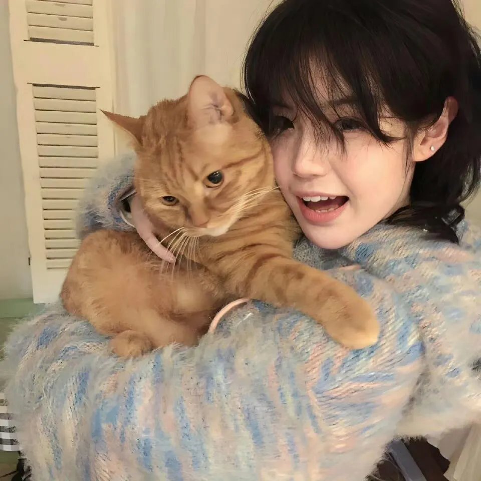 恶魔猎手封面