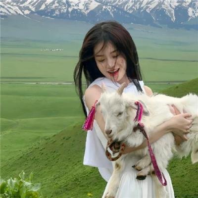 亲情无价封面