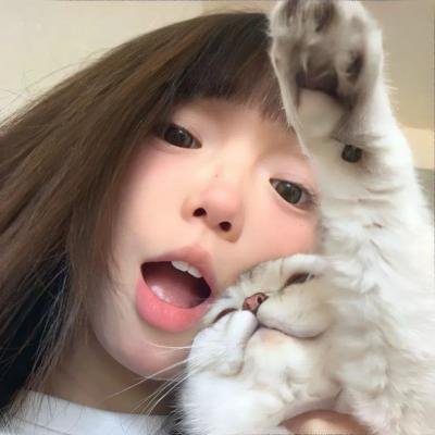 爱子封面