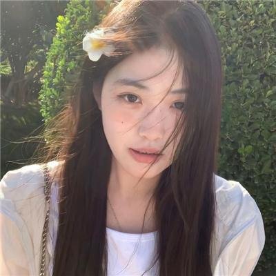 惊群封面